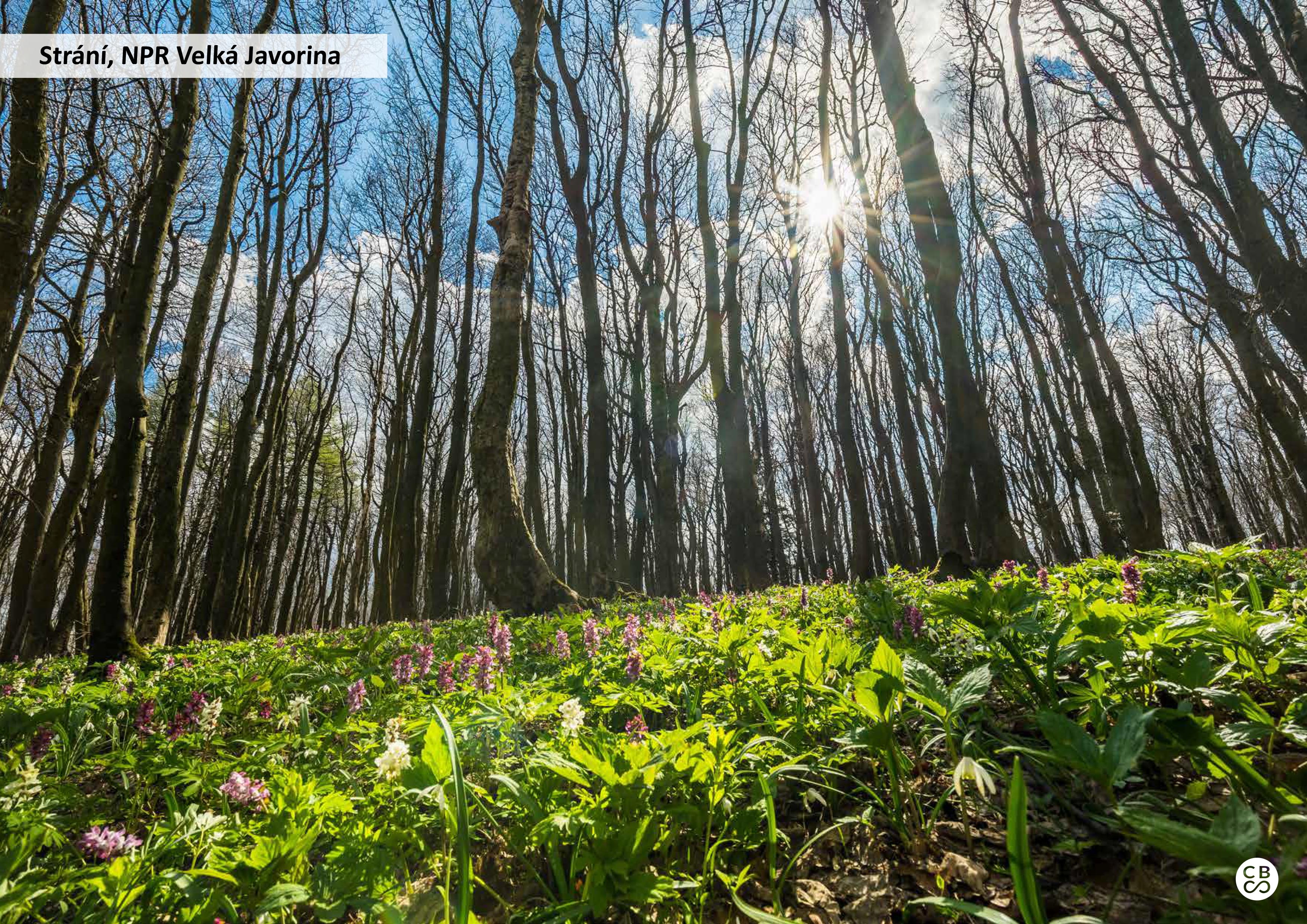 Carovne_Bile_Karpaty_book fotek_web-16